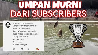 UMPAN MURNI dari subscribers