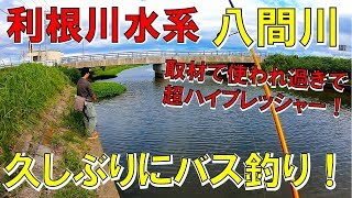 【八間川】あえて取材御用達な激スレポイントでバス釣り！