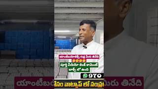 యాంటీబయోటిక్స్ గుడ్ల మీరు తినేది#shorts #eggs #viral #health #motivation #trending