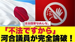 これが答えだ！ 河合議員が不法入国者問題を完全論破