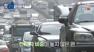 [핫클립] 한국의 미래 먹거리인 친환경 자동차 / YTN 사이언스