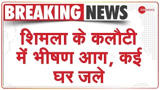 Breaking News: Shimla के कलौटी में भीषण आग | Fire Broke Out | Hindi News | Latest News | Top News