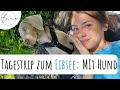 Bayerische Karibik: Tagestrip zum Eibsee mit Weimaraner