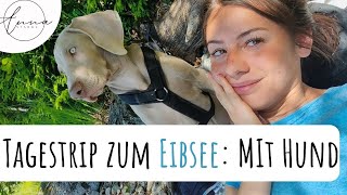 Bayerische Karibik: Tagestrip zum Eibsee mit Weimaraner