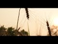 cumilla city the paradise of bangladesh 4k