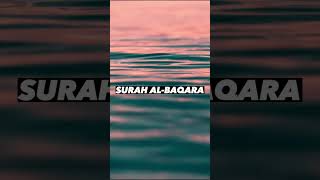SURAH AL-BAQARA |Ayaat 47+48| Recitation by Mishary Rashid Alafasy | Islam The Heavenly Path