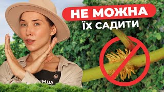 😱❌ ПОСАДИЛА І ПОЖАЛКУВАЛА | 8 рослин які перетворять ваш сад в ПЕКЛО | Florium