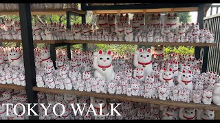 🇯🇵 Tokyo, Japan Walking Tour | Exploring Gotokuji Temple: The Lucky Cat Temple [4K HDR 60 fps]