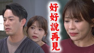 【天之驕女】EP102 仁美受傷被爸媽察覺 尚豪發誓不再見面...豪美CP說散就散