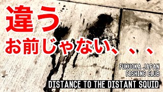 【福岡釣部 in 津屋崎漁港でイカ釣りチャレンジ】107 English Sub. 違うんだよねぇ、君じゃないの。 福岡釣部 Fukuoka Japan Fishing Club.in 津屋崎漁港