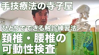 頸椎・腰椎の可動性検査「手技療法の寺子屋～ひとりでできる触診練習法～」