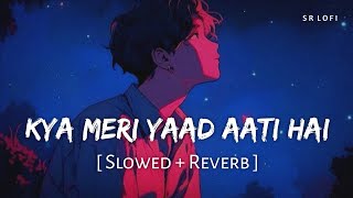 Kya Meri Yaad Aati Hai (Slowed + Reverb) | Vishal Mishra, Tanishk Bagchi | Sky Force | SR Lofi