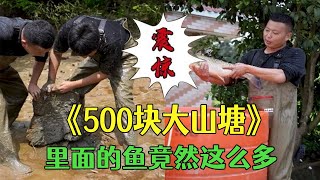 花500塊包下壹個大山塘，沒想到裏面的魚這麽多？#三農 #小飛哥#我要上熱門 #戶外  #抓魚vlog