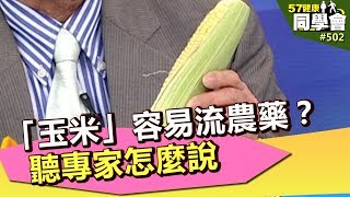 「玉米」容易流農藥？聽專家怎麼說【57健康同學會】第502集 2012年