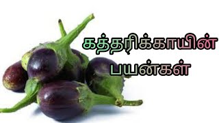 கத்தரிக்காயின் பயன்கள் | by Dr Anita | kathirikaiyin payangal|brinjal  health benefits|Anita's clips