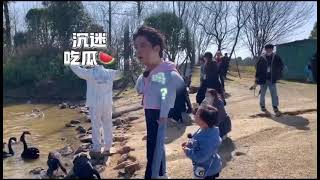 [Bts 爱上幼儿园] 舞者李响 dancer Lixiang 哄娃记.🥰