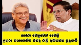 ගෝඨා වෙනුවෙන් මෛත්‍රී උතුරු නැගෙනහිර ඡන්ද රැලි අමතන්න සූදානම් Gotabaya Rajapaksa Latest News