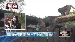 動物園驚魂！ 帶3歲兒遊玩遇劫 「猴子大盜」大肆行搶超囂張