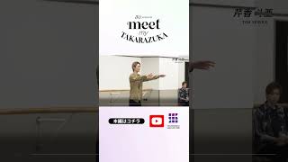 【au presents meet my TAKARAZUKA】はじめての宝塚歌劇ガイドVol.5