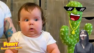 You Laugh You Lose 😜 Funniest Babies React with Dancing Cactus Toy #2 || Funny Baby Videos