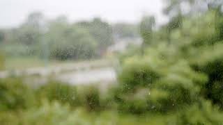 Raining and Music for Relaxing, Rain Sounds to Sleep, The Flute and Raining Sound