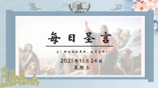 【每日圣言】2021年啊11月24日 星期三