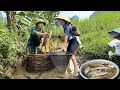 17 year old girl - Catch big fish go to market sell with Husband - Cook fish - Childcare