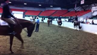 A Major Innovation - Final split of Region 6 AQHA Novice Am. HUS