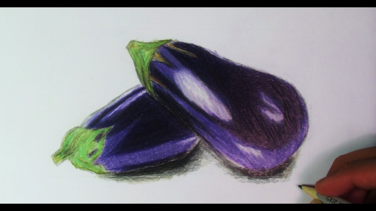 Realistic Eggplant (Speed Drawing) - YouTube