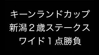 【キーンランドカップ 新潟２歳ステークス2022】ワイド一点勝負　#29