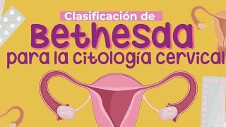 Clasificación de Bethesda. Citologia cervical