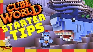 CUBE WORLD 2019 TIPS/ STARTER GUIDE - NEW PLAYERS TUTORIAL