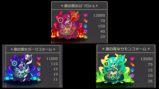 2週目全フォーム　魔女の迷宮Ⅸ（９）　ビビッドナイト