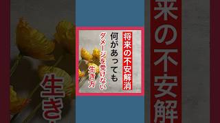 将来の不安解消/何があってもダメージを受けない生き方