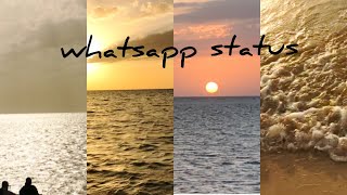 Red Sea ഇത്ര ഭംഗിയിൽ കണ്ടിട്ടുണ്ടോ/96 Thabangale song whatsapp status/sad whatsapp status/sunset