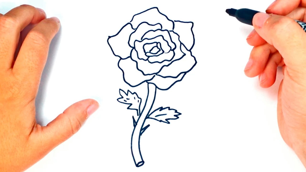 Como Dibujar Una Rosa Paso A Paso Lieno Wallpaper