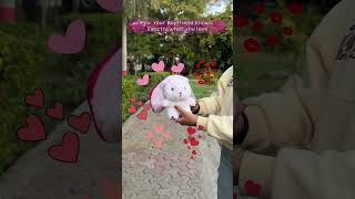 Strawberry Rabbit Soft Toy |  Strawberry Bunny Plush Doll  #giftcarnation #trendingreels  #aesthetic