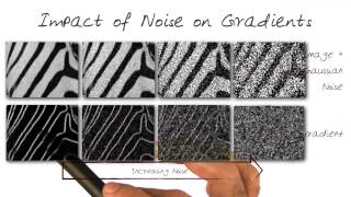 Impact of Noise on Gradients