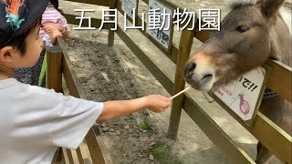 五月山動物園で餌やり体験