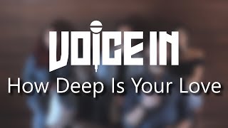 Voice In -  How Deep Is Your Love - Calvin Harris \u0026 Disciples (A Cappella Cover)