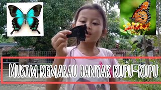 Menangkap Kupu-Kupu MUSIM KEMARAU