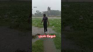 புயல் நேரத்திலும் விவசாய பணி #cyclone #agriculture #shorts