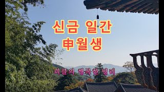 십간론 68 🍄신금 일간 신(申)월생 - 피클의 행복한 명리