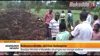 Agataliikonfuufu: Bebasendedde ebirime balaajana Basabye minisita w'ebyettaka okwenyigira munsonga z