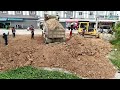 nice operator skill komatsui dozer d31px filling land with dump trucks delivery team work