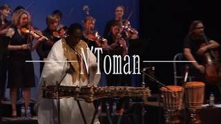 N'Faly Kouyaté - KORA STRINGS - N'Toman