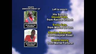Mickie Shelton Alexander ~ Medium Obituary
