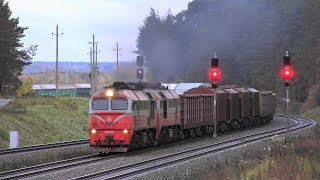 Тепловоз 2М62К-0565 с грузовым поездом / Diesel locomotive 2M62K-0565 with a mixed freight train