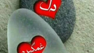 آهنگ فارسی عاشقانه به آواز احمد فرید کوهی 🌹⚘⚘