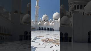 Dubai has my ❤️|| Sheikh Zayed Grand Mosque|| Abu Dhabi #luxuryvacations #habibicometodubai